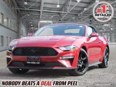 2019 Ford Mustang Ecoboost Premium $39,995+ taxes