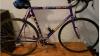 Mint Masi Team 3V -vintage 1991