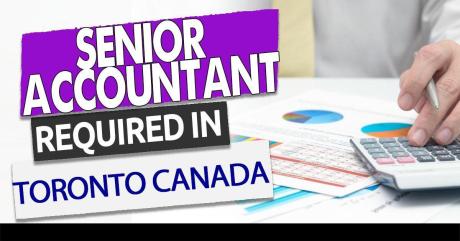 Senior Accountant