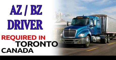AZ/BZ Driver