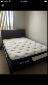 Double Mattress and Bed Frame