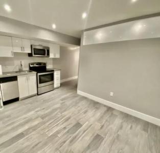 2B/R Renovated Bright Legal Basement apartment (Queen & Carlaw) $1,875