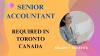 Senior Accountant