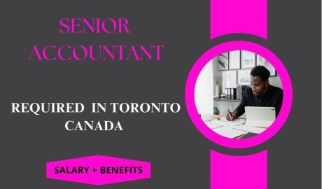 Senior Accountant
