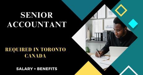 Senior Accountant