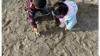 Childcare/home daycare in Etobicoke/Humberwood area