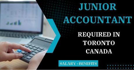 Junior Accountant