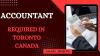 Accountant
