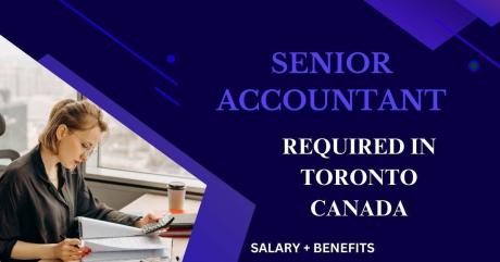 Senior Accountant