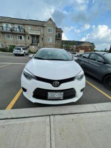 2016 Toyota Corolla LE - $14700 (O.B.O.) $14,800