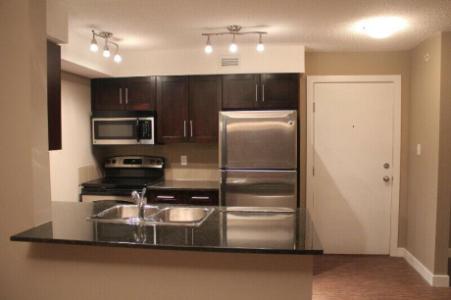 Two bedroom two bathroom condo for rent $1,250.00