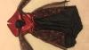 spider queen 4-6 years