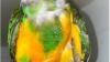 Male Senegal Parrot