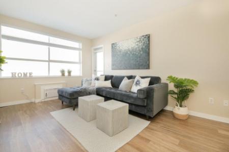 Pet-Friendly 2 Bedroom Apartments For Rent