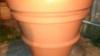 Plastic flower pots