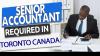 Senior Accountant