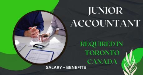 Junior Accountant