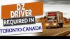 Dz driver
