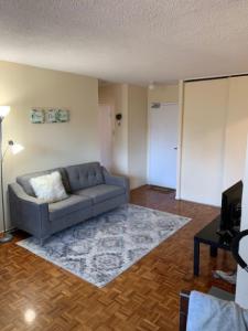 Private large 1 bedroom in downtown from Feb 1st week $1,500.00