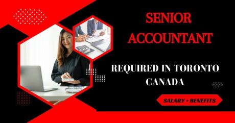 Senior Accountant
