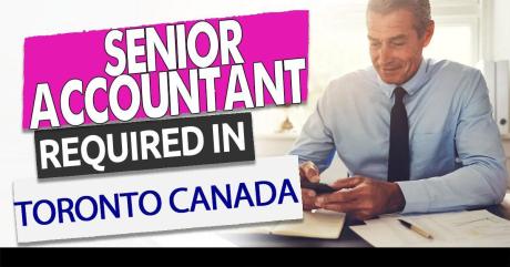 Senior Accountant