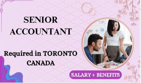 Senior Accountant