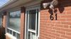 1 Bdrm Apartment For Rent - Georgetown $1,600.00