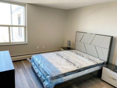 1 Large BDRM, Semi Furnished Suite Available - Unit 1608 $2,000.00