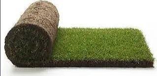 FALL SALE ON NOW -Farm Fresh Cut FREE DELIVERY...