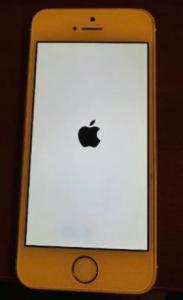 iPHONE 5S – 16 GB – Unlocked – Excellent condition $50