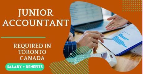 Junior Accountant