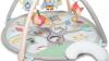 Skip Hop Treetop Friends Activity Gym