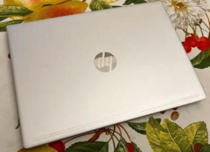 HP ProBook 440 G6 8gb Memory 256gb SSD Laptop