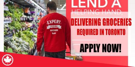 DELIVERING GROCERIES REQUIRE IN TORONTO