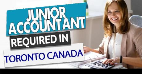 Junior Accountant