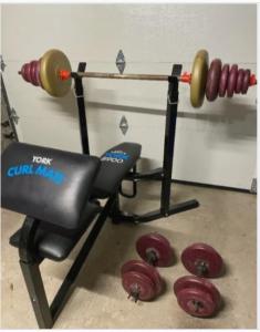 YorK Bench Weights and Dumbells gym exercise