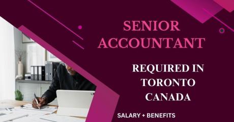 Senior Accountant