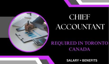 Chief Accountant