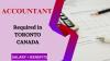Accountant