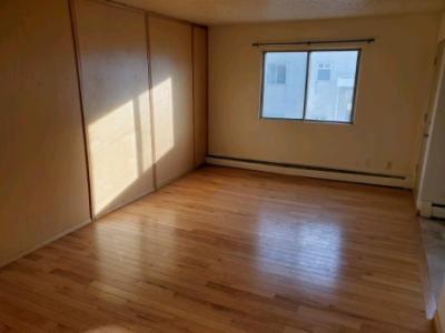 1+2 BDRM FOR RENT - 46St / 86St / 105 St - 118 Ave $860