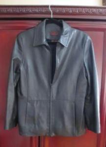 Danier Leather Jacket - Great Condition