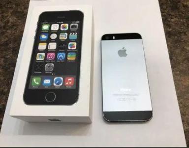 Perfect Mint iPhone 5S 16GB Grey Unlocked