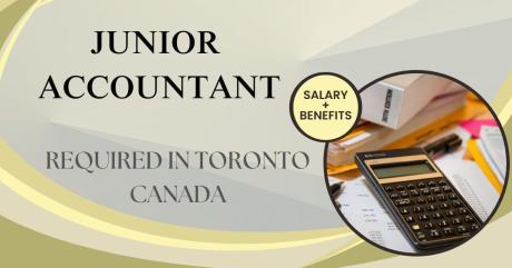 Junior Accountant