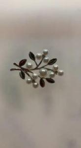 Multiple Brooches