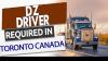 DZ Driver