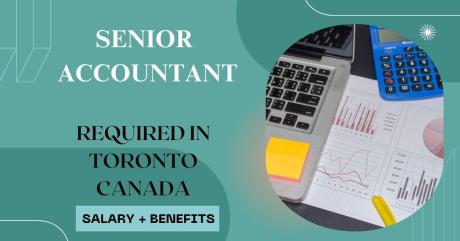 Senior Accountant