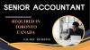 Senior Accountant