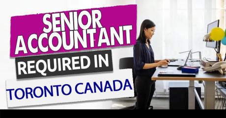 Senior Accountant