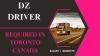 DZ Driver