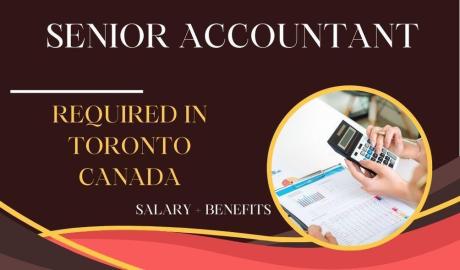 Senior Accountant